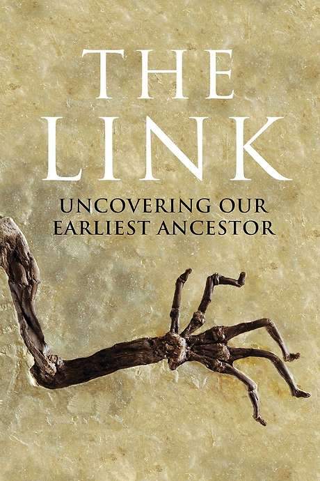 Uncovering Our Earliest Ancestor: The Link